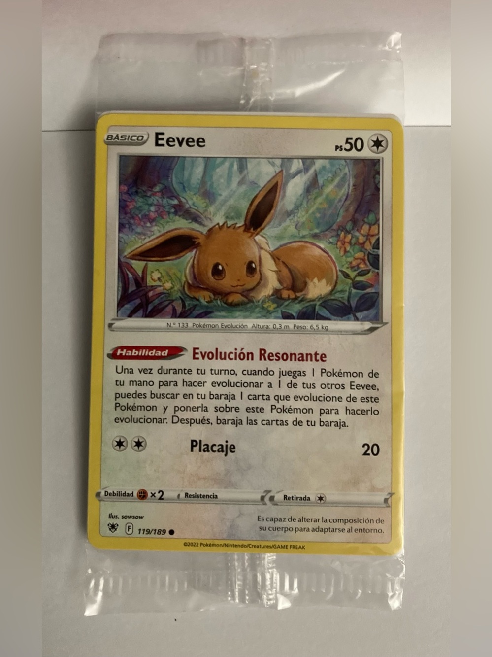 Pokemon eeve card